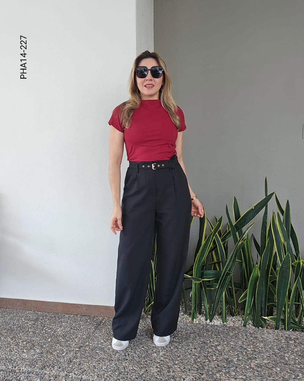 Pantalón de vestir N 227